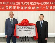 开元-今晨个人资料