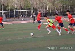 中国足球队打正式比赛球迷的心情