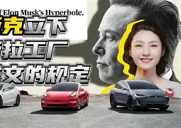 马斯特里vs格拉夫