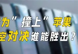 胜者为王,豪强对决谁能傲视群雄呢