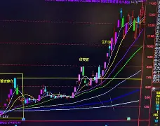 开元-福建队最新比赛消息
