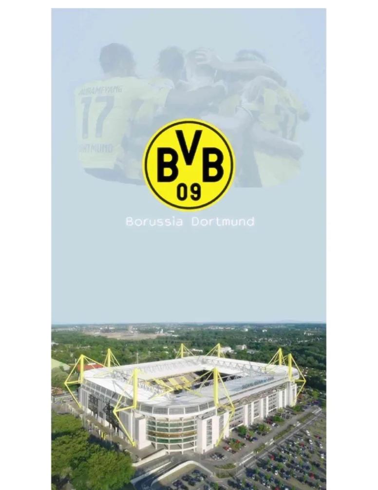 多特蒙德遭遇连败,危机愈发加剧的原因