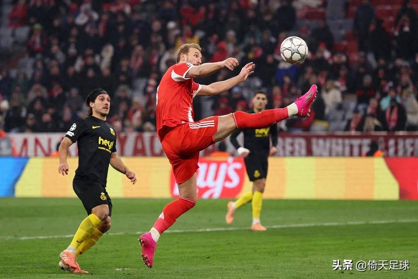 开元棋牌app下载地址-德甲拜仁慕尼黑vs霍芬海姆