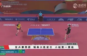 瑞典队波兰队