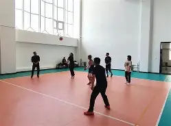 nba开局融合艾弗森